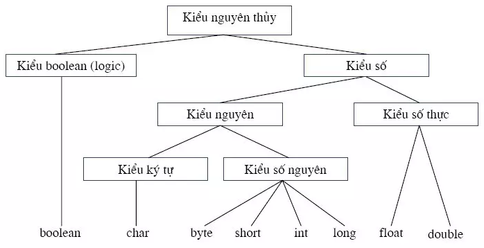 Sự khác biệt giữa kiểu nguyên thủy và kiểu đối tượng là gì?